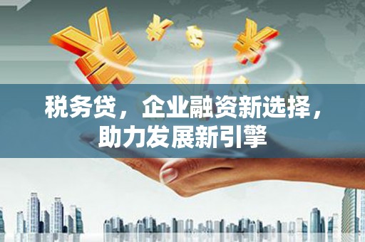 界首税务贷，企业融资新选择，助力发展新引擎