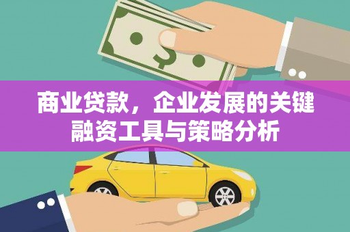天元商业贷款，企业发展的关键融资工具与策略分析