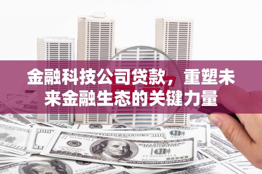 港南金融科技公司贷款，重塑未来金融生态的关键力量