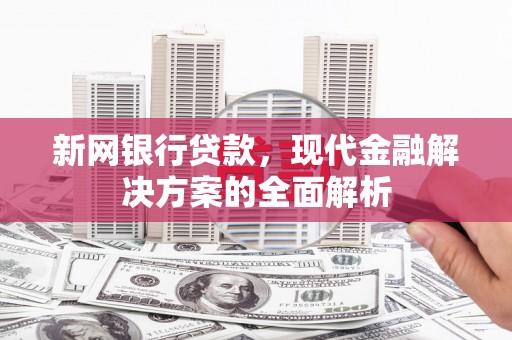 海港新网银行贷款，现代金融解决方案的全面解析