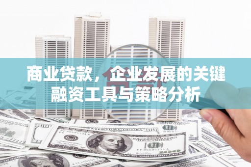 聂拉木商业贷款，企业发展的关键融资工具与策略分析