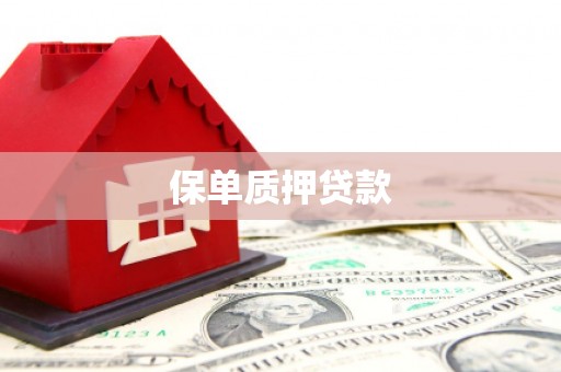 潍城保单质押贷款