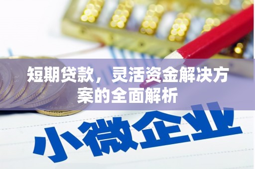 佛坪短期贷款，灵活资金解决方案的全面解析