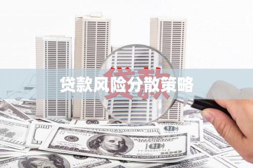 顺城贷款风险分散策略