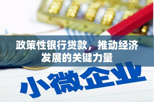 东丰政策性银行贷款，推动经济发展的关键力量