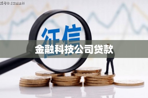 南湖金融科技公司贷款