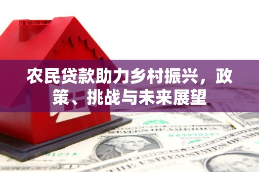 弋江农民贷款助力乡村振兴，政策、挑战与未来展望