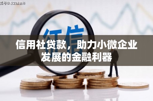 长葛信用社贷款，助力小微企业发展的金融利器