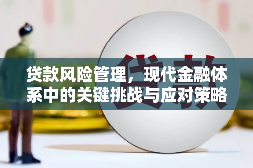 天元贷款风险管理，现代金融体系中的关键挑战与应对策略