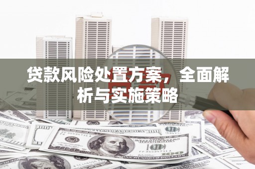 中埔贷款风险处置方案，全面解析与实施策略