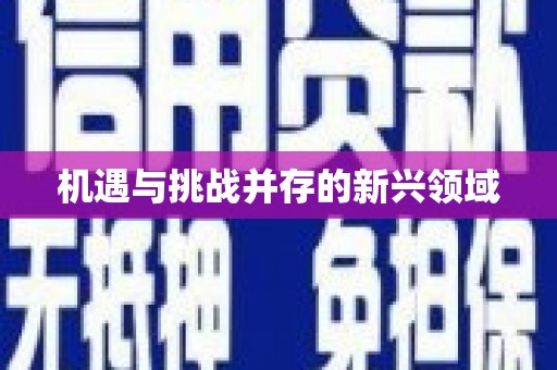 称多机遇与挑战并存的新兴领域