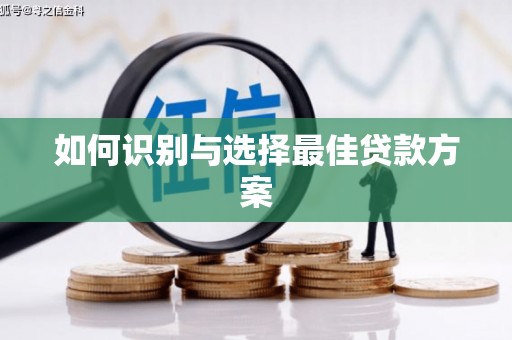 太子河如何识别与选择最佳贷款方案