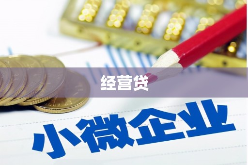 环江经营贷